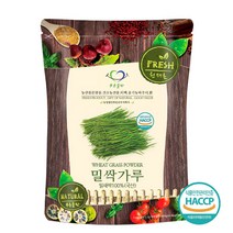 푸른들판 국산 어린 잎 밀싹 밀새싹 밀순 분말 가루 100% 파우더 해썹 인증 추천, 500g, 1개, 1봉