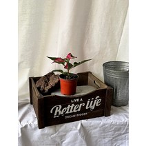 15~20cm 39 화려한 룬데리 파티타임 소품