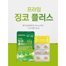 일양약품 프라임 징코 플러스 30정 10박스 10개월분 은행잎추출물, 1000개, 60정(2개월) x 2개