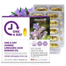 네추럴라이즈 원어데이 감마 보라지꽃종자유 90캡슐, 단품, 단품