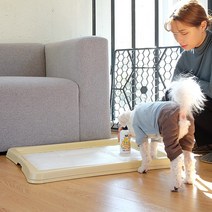 강아지 배변패드고정패드판 배변판 대형견용 초대형, 1개, 아이보리