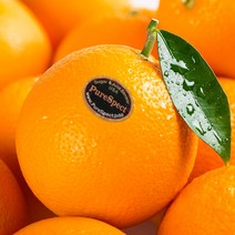 고당도 오렌지 블랙라벨 퓨어스펙 캘리포니아 네이블 오렌지 대과 중과, 블랙라벨 오렌지 대과 15과