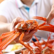 당일조업 산지직송 자숙 연지홍게 홍게 수율보장 1.5kg, A급 자숙 연지 홍게 1.,5kg(5~7미), 1개