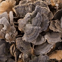 봉래 국산 운지버섯(구름버섯) 600g/한방/건강/약초/약재 식품 > 건강식품 전통건강식품 기타전통건강식품/한방재료, 600g, 1, 600g” class=”wr-img”></a></div></div></div></div><div class=