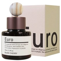 유로 차량용 방향제 디퓨저 70ml + 우드볼, 클린솝