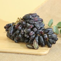 초고당도 씨없는 블랙사파이어 포도 가지포도, 2개, 900g