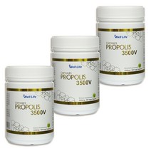 굿소일직구 WellLife 마그네슘 포함 프로폴리스 3500mg 900캡슐, 뉴질랜드 내수용 명품 웰라이프
