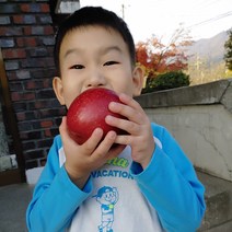 금가네꿀사과 고당도 경북영주사과 부사 미얀마 미시마 소백산 안동 대구 부석사과 10kg, 부사 흠과10KG(32~50과) 사이즈혼합