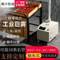 산업용가습기 복합식 가전주파집겸용회전hf 농산물저온저장고 가습기 주파집 공조기가습 무인방제기 대형, SC-D2201B(데카코어스마트충전듀얼튜브)