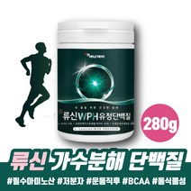 운동전 벌크업 WPH 류신 단백질 식물성 저분자 가수분해 단백질 BACC BCAA 헬스 단백질 보충제 운동프로틴 엠비피 MBP 유단백추출물 어른분유 남자몸짱 40대 50대 60대 남성 점심대용