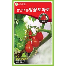 감초 5g - 씨 씨앗 감초씨 감초씨앗 약재 채소씨 채소씨앗 약용식물 약재씨앗 약재씨 약용식물씨앗, 13_다농_빨간 조롱방울토마토(50립)