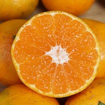 장보리 제주 무농약 감귤 5kg
