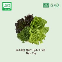 친환경 무농약 유러피안 샐러드 상추 1kg 2kg 로메인 버터헤드 크리스탈 바타비아 멀티리프 레드버터헤드 레드멀티리프 레드오크리프 당일 수확 당일 출고 스마트팜 수경재배, 혼합