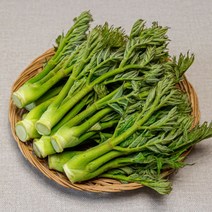 [오렌지씨푸드] 국내산 두릅 참두릅 재배두릅 150g, 상세 설명 참조