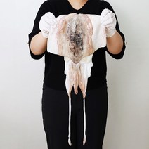 자연산 손질 갑오징어 목포 조업 산지직송 급냉 특대형, 대 한마리 (500g~590g)