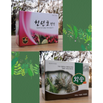 건강즙 모음 천년초즙 와송즙