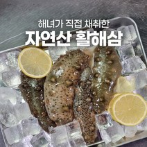 해삼 활해삼 1kg 5kg 손질법 요리 제철 회 자연산, 국내산 활해삼 2kg