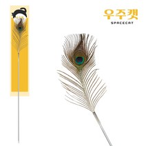 우주캣 1M 고양이 장난감 장거리 장대 낚시대 깃털 장난감, 1M 빅공작