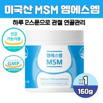 미국산 순수 엠에스엠 식이유황 분말 디메틸설폰 MSM 무릎 관절 영양제 MSN 가루 파우더 식약처인증, 160g 1통