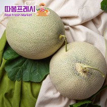 따봉프레시 3차선별 고당도 메론 머스크 파파야 양구 설향 백자 허니듀 하미과, 1개, 6kg