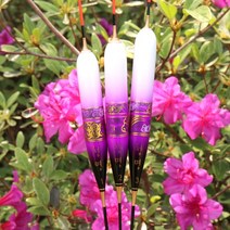 WF 청명 홍 나노 민물올림찌 민물찌, 1호, 선택완료