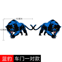 차량용 데코 흠집 인테리어 스크래치 자동차 스티커 오토바이 대형 차 차량용 데코 흑표범 데칼 캠핑카, 옵션2