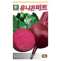 갑조네 잎줄기채소 씨앗 모음, 유니온비트(씨앗), 1개