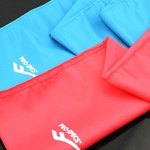 프로스펙스 씨름샅바 보관파우치 S~L 전문브랜드, S사이즈