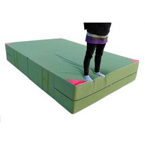 체조 매트 10cm 20cm 캔버스 체육 착지 유도 태권도, 접었을때 1.6x0.8m 두께0.1m 밀도50