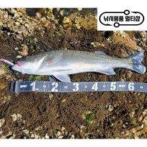 로켓95 싱킹 농어 광어 채비 바늘 미끼 미노우 루어낚시, 5-레드화이트, 1개