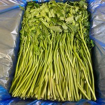 돌 밭 생 나물 제철 뿌리야채 미나리 다이어트녹즙 거머리 싱싱 대용량 1박스 4kg 2kg, 1개