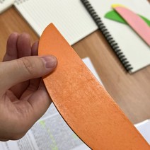 문구용 15cm 과일모양자 나무자 오렌지