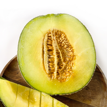 머스크 하미과 메론 선물세트 고당도 MELON 프리미엄 곡성 멜론, 중과 8kg(5~6수)