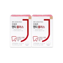 진정주 덴티 플러스(60정), 2통, 60정