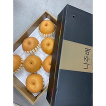 23년 나주 햇배(신고) 가정용 선물용, 1박스, 선물용특품15kg(21~25과)