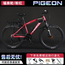 MTB 산악 자전거 입문용 성인 남녀 초보 산악 MTB 자전거 한강 라이딩, 30단, 24인치, A FG980 하이 버전-핑크-스포크 휠
