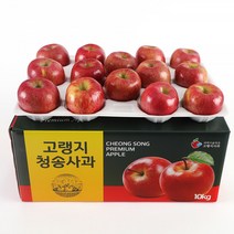 별초롱아기손퍼즐 과일야채 추천 TOP 50