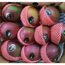 페루 고당도 애플망고 4kg 6-11수 선물용, 1개, 폐루산 애플망고(6-11수)4kg