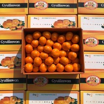 브랜드없음 [프레쉬푸드] 귤림원 제주 감귤 1.5kg / 2S~L, 단품없음