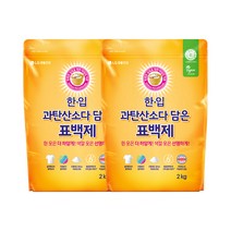 한입 과탄산소다 담은 표백제 2kg, 2개