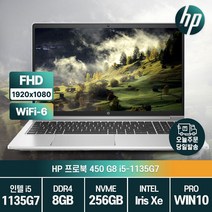 HP 프로북 450 G8 11세대 i5-1135G7 인텔 아이리스 Xe 그래픽스 가성비 노트북, 464P0AV, WIN10 Pro, 8GB, 256GB, 코어i5, 실버