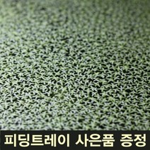 부상수초 좀개구리밥 부평초 [50뿌리] 부상수초홀더 어항부상수초 구피부상수초