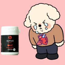 강아지 고양이 심장사상충 면역 영양제 애견 반려동물 노령견, 1개