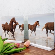 기타 바보사랑[꾸밈]스탠드액자2P_풍수에좋은역동적인말04