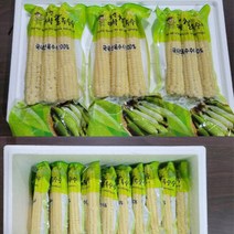 괴산 대학찰옥수수 삶은 냉동 찐 옥수수 진공포장 3팩 5팩 10팩, (급냉)찰옥수수10팩(30개)
