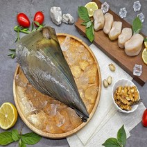 국내산 생물 키조개 중사이즈 1마리 캠핑 조개구이 관자, 키조개 소 1미