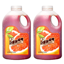 흥국 자몽 농축액 1.5L 2개 에이드베이스