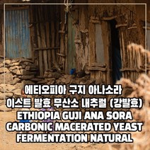 (커피생두) 264 에티오피아 구지 아나소라 이스트 발효 무산소 내추럴 500g