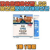 초유단백질 프락토올리고당 유산균 LGG유산균 오래앉아있는사람 식단 유산균추천 남자유산균 여자유산균 청소년유산균 바이오틱스 프로바이오틱스유산균 유산균효능