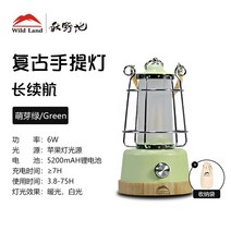 ]와일드랜드 WILD LAND 감성캠핑 LED 랜턴등 클래시카, 민트+수납주머니